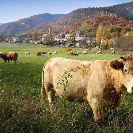 Gite La Taniere Des Alpes Bayons Eksteriør bilde