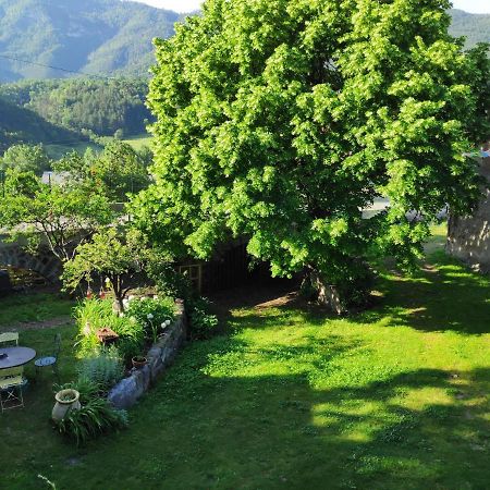Gite La Taniere Des Alpes Bayons Eksteriør bilde