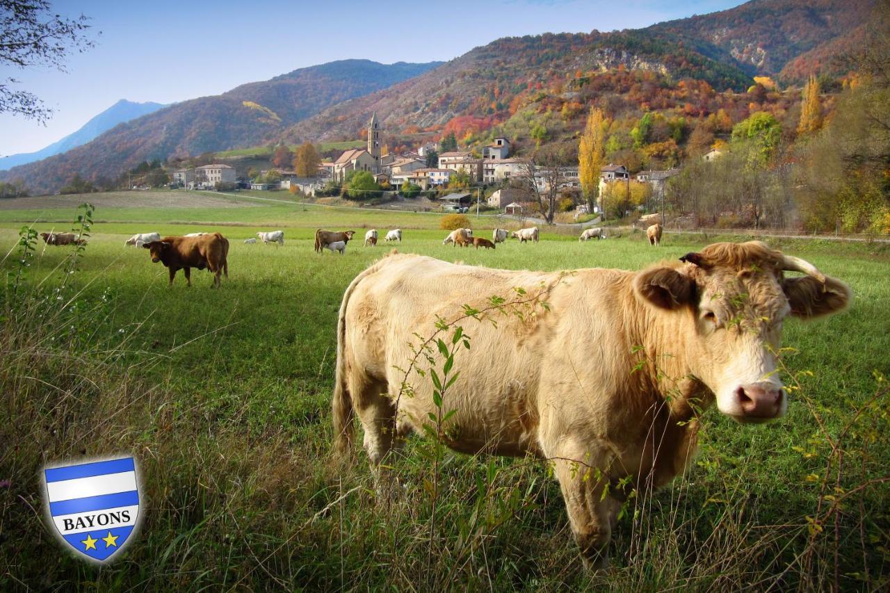 Gite La Taniere Des Alpes Bayons Eksteriør bilde